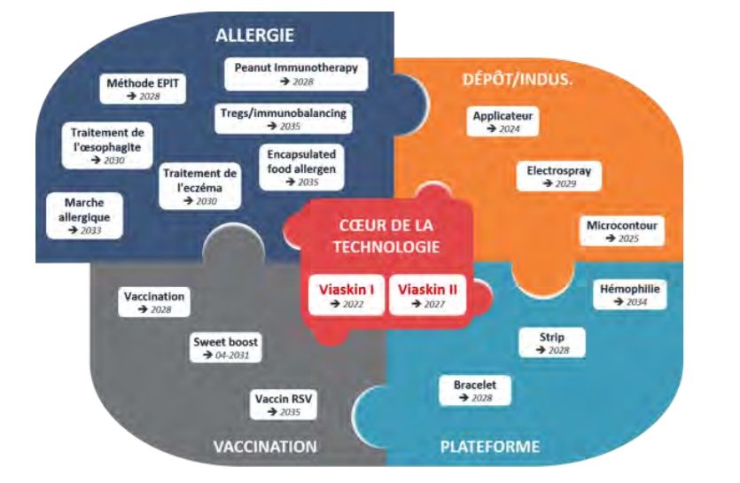 Les brevets de DBV technologies, répartis en 4 groupes.